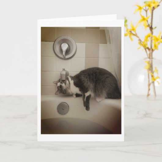 Boris der Niedliche Gruß von Nubber Kitty Karte (Gelbe Blume)