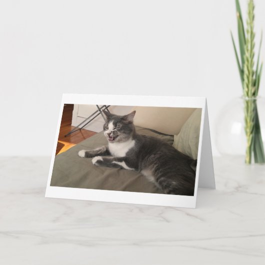 Boris der Niedliche Nubber Kitty Gruß Karte (Vorderseite)