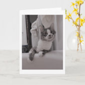 Boris der Niedliche Nubber Kitty Gruß Karte (Gelbe Blume)