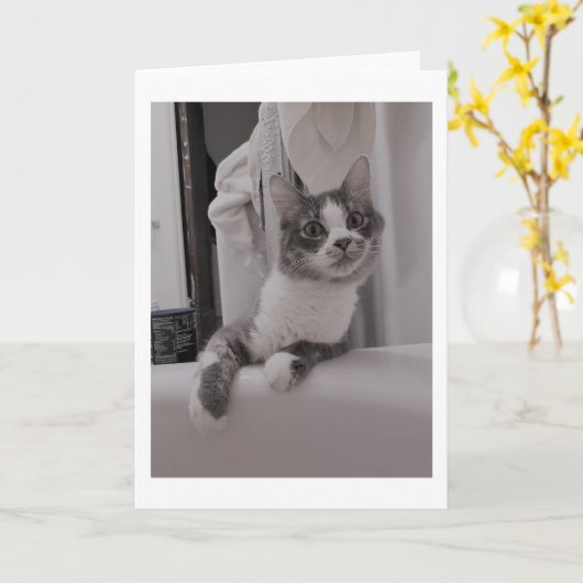 Boris der Niedliche Nubber Kitty Gruß Karte (Gelbe Blume)