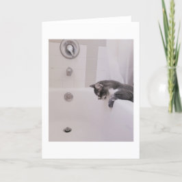 Boris der Niedliche Nubber Kitty Gruß Karte