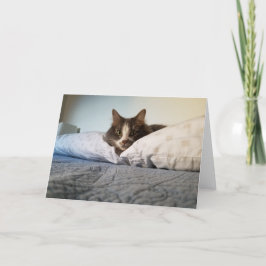 Boris die Niedliche Grusskarte Nubber Kitty Karte