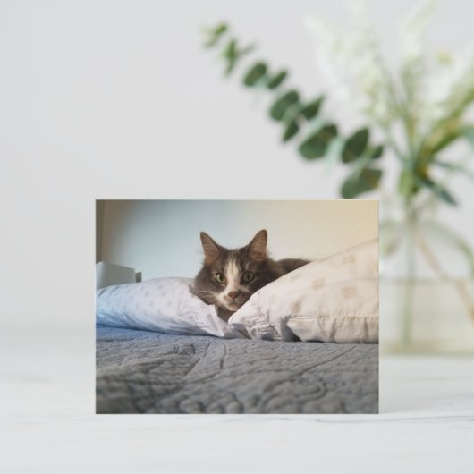 Boris, die Niedliche Nubber Kitty Postcard Postkarte (Stehend Vorderseite)