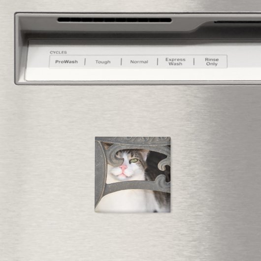 Boris Kitty Magnet (In Situ (Geschirrspüler))