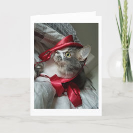 Boris the Niedlichen Nubber Kitty Holiday Cards Feiertagskarte