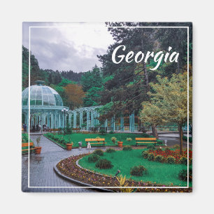 Borjomi Georgia Heiße Quellen Kaukusgebirge Magnet