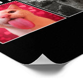 Born To Dilly Dally Forced To Lock In Funny Cat Me Poster (Ecke)