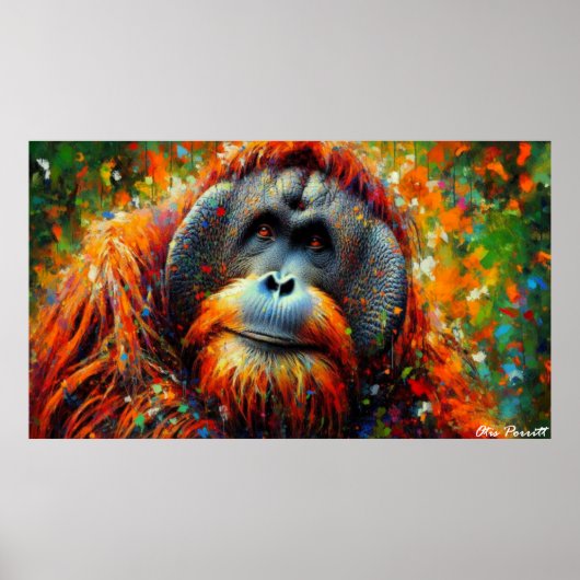 Bornean-Orang-Utan Poster (Vorne)