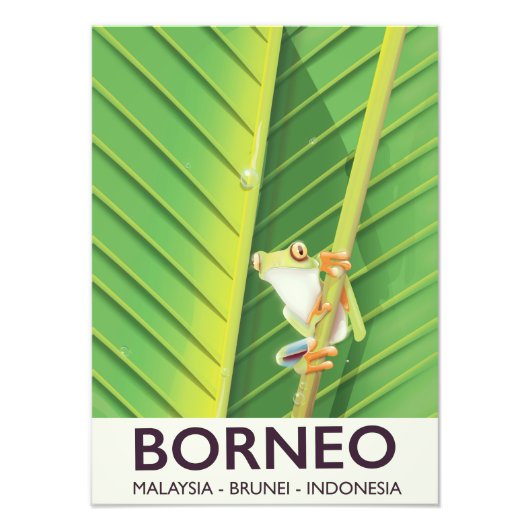 Borneo Giison Frosch Reiseplakat Fotodruck (Vorne)