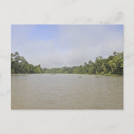 Borneo Island, Malaysia, Panoramasicht Postkarte (Vorderseite)