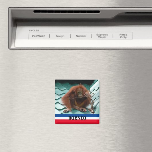 Borneo Niedlich Orangutan Sepilok Magnet (In Situ (Geschirrspüler))