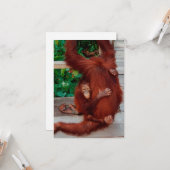 Borneo-Orang-Utan Karte (Vorderseite/Rückseite Beispiel)
