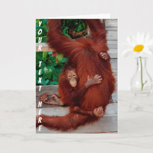 Borneo-Orang-Utan Karte