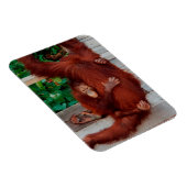 Borneo-Orang-Utan Magnet (Rechte Seite)