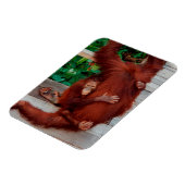Borneo-Orang-Utan Magnet (Linke Seite)