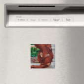Borneo-Orang-Utan Magnet (In Situ (Geschirrspüler))
