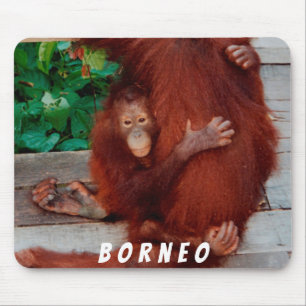 Borneo-Orang-Utan Mousepad