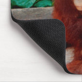 Borneo-Orang-Utan Mousepad (Ecke)