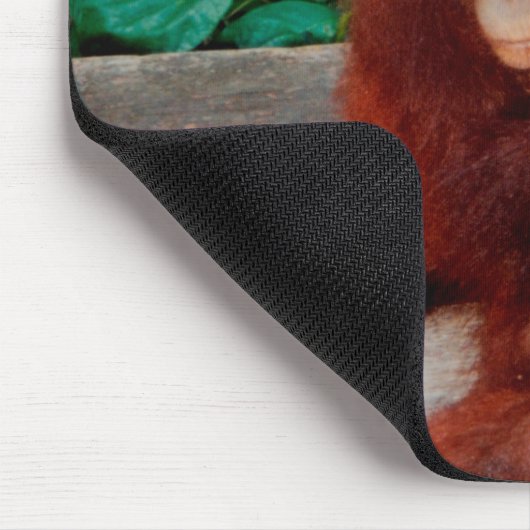 Borneo-Orang-Utan Mousepad (Ecke)