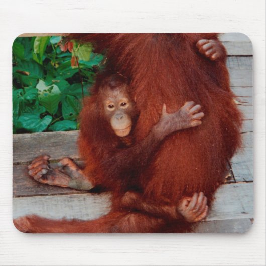 Borneo-Orang-Utan Mousepad (Vorne)