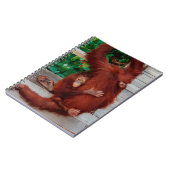 Borneo-Orang-Utan Notizblock (Linke Seite)