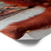 Borneo-Orang-Utan Poster (Ecke)