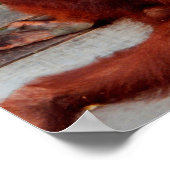 Borneo-Orang-Utan Poster (Ecke)