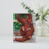 Borneo-Orang-Utan Postkarte (Stehend Vorderseite)