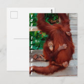 Borneo-Orang-Utan Postkarte (Vorne/Hinten)