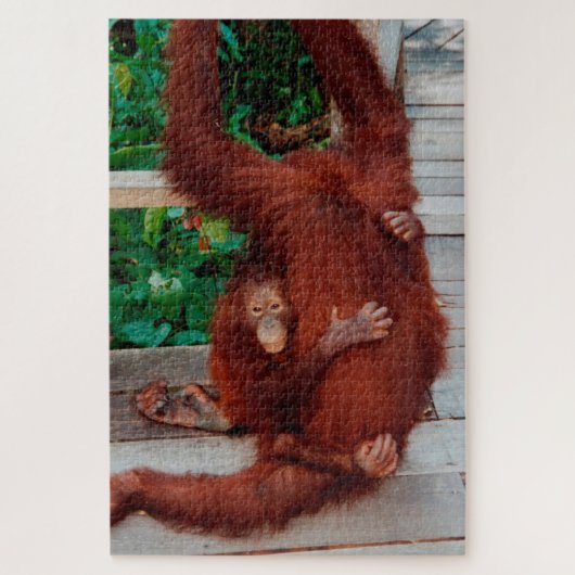 Borneo orangutan 1014-pc puzzle (Vertikal)