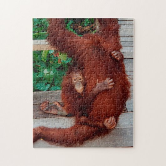 Borneo orangutan 252-pc puzzle (Vertikal)