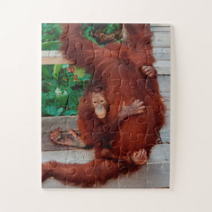 Borneo orangutan 30-pc puzzle