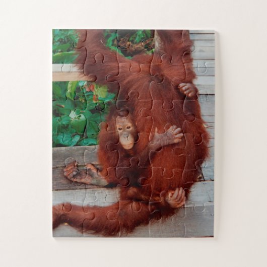 Borneo orangutan 30-pc puzzle (Vertikal)