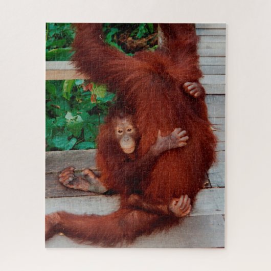 Borneo orangutan 520-pc puzzle (Vertikal)