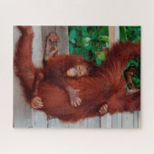Borneo orangutan 520-pc puzzle (Horizontal)