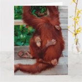 Borneo orangutan karte (Gelbe Blume)