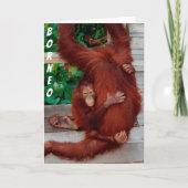 Borneo orangutan karte (Vorderseite)