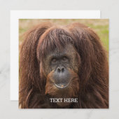 Borneo Orangutan Schöne Fotografie (Vorne/Hinten)