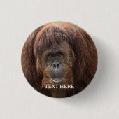 Borneo Orangutan Schöne Fotografie Button (Vorderseite)
