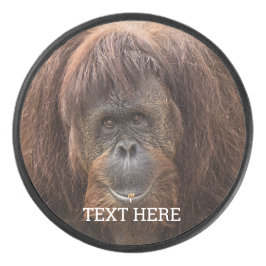 Borneo Orangutan Schöne Fotografie Eishockey Puck