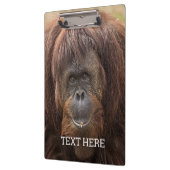 Borneo Orangutan Schöne Fotografie Klemmbrett (Links)