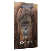 Borneo Orangutan Schöne Fotografie Klemmbrett (Rechts)