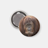 Borneo Orangutan Schöne Fotografie Magnet (Vorderseite/Rückseite)