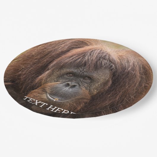 Borneo Orangutan Schöne Fotografie Pappteller (Schrägansicht)