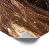 Borneo Orangutan Schöne Fotografie Poster (Ecke)