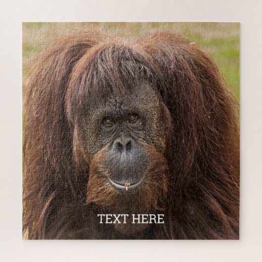 Borneo Orangutan Schöne Fotografie Puzzle (Vertikal)