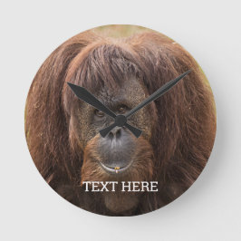 Borneo Orangutan Schöne Fotografie Runde Wanduhr