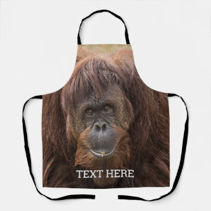 Borneo Orangutan Schöne Fotografie Schürze