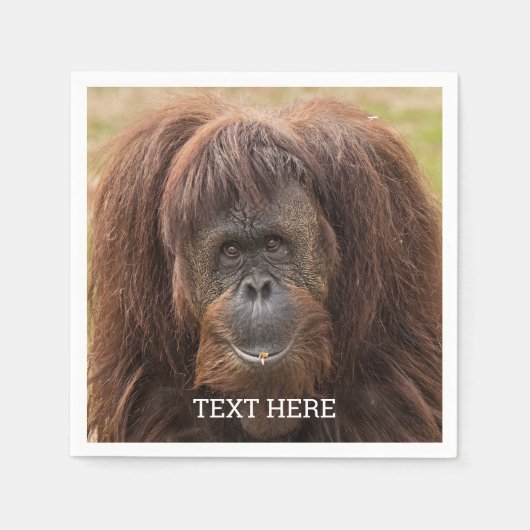 Borneo Orangutan Schöne Fotografie Serviette (Vorderseite)