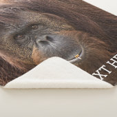 Borneo Orangutan Schöne Fotografie Sherpadecke (3/4)